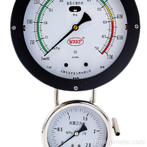 double bellows combined liquid level gauge